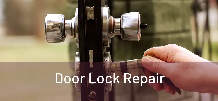 Door Lock Repair