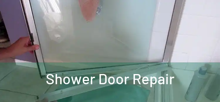 Shower Door Repair